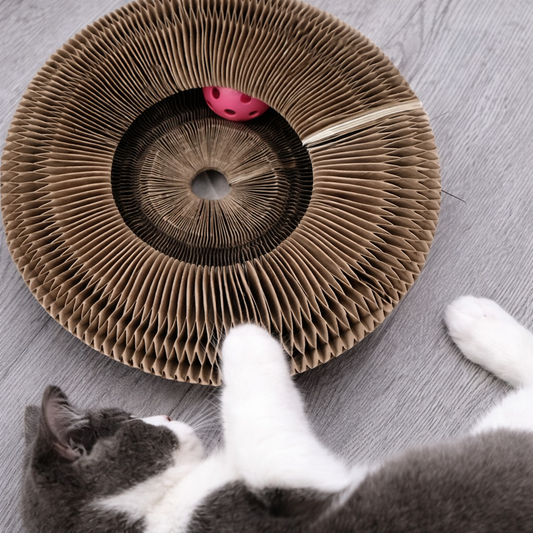 Magic petzi : Griffoir pour chat